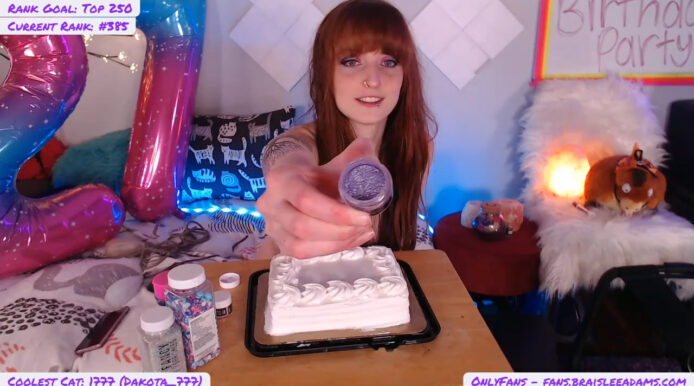BraisleeAdams Celebrates Her Birthday By Decorating A Cake With Lots Of Glitter And Sprinkles