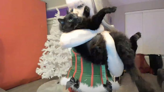 DarcyNycole And Noodle Set Up A Christmas Tree