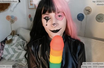 KomoBear Tastes The Rainbow