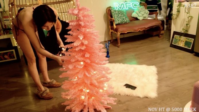 Christmas Decorating With Harley_raiyn