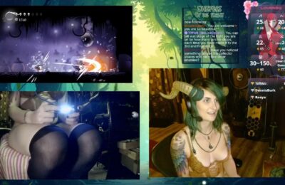 Feysbian's Playful And Fun Hollow Knight Show