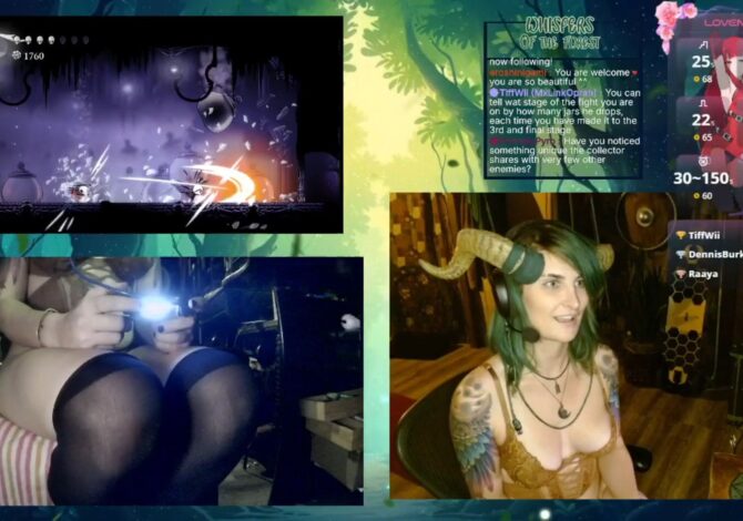 Feysbian's Playful And Fun Hollow Knight Show