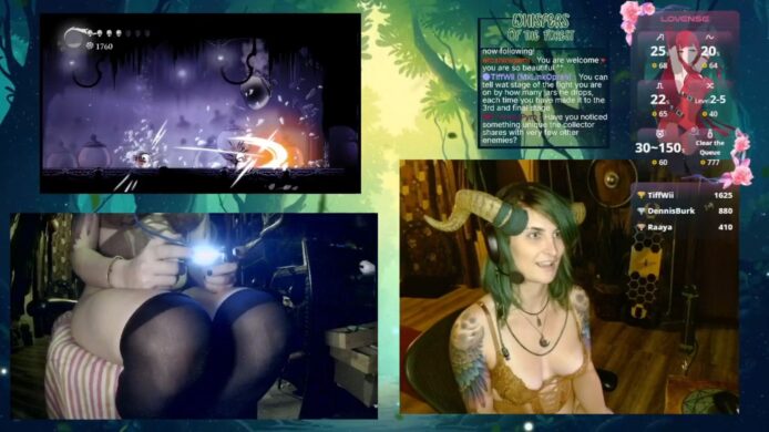 Feysbian's Playful And Fun Hollow Knight Show