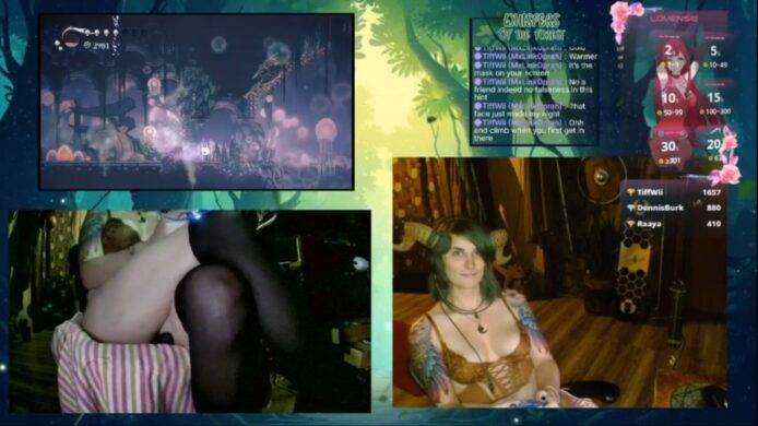 Feysbian's Playful And Fun Hollow Knight Show