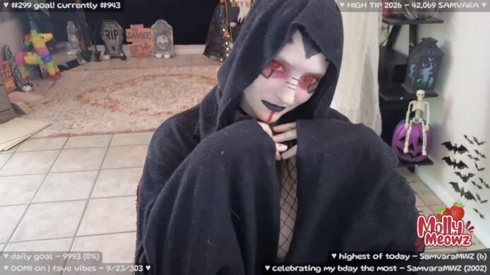 Meet Sith Lord Meowz